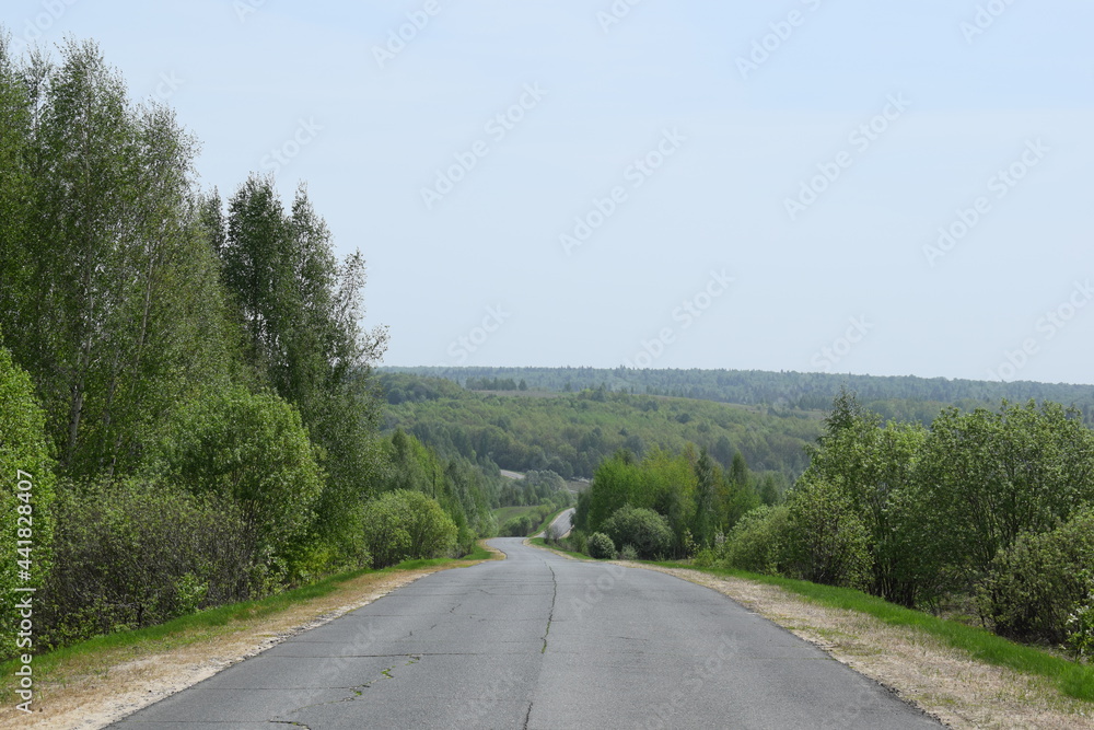 Fototapeta premium Road. Trees. Sky. Spring