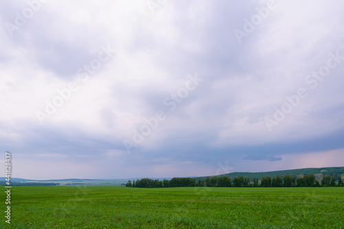 Clouds, green field before rain. © Ilya