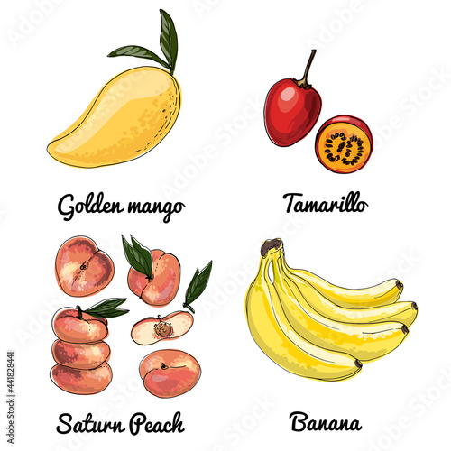 Flat peach Vector food icons of fruits. Colored sketch of food products. Saturn peach, bananas, tamarillo, golden mango