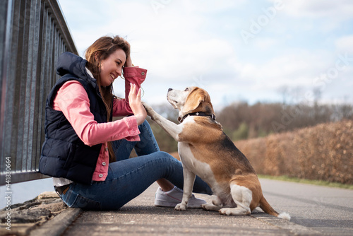 Beagle Hund mit junger Frau