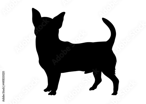 Chihuahua dog silhouette  Vector illustration silhouette of a dog on a white background. 