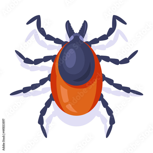 forest encephalitis tick on a white background. insect dangerous to humans. flat vector illustration.