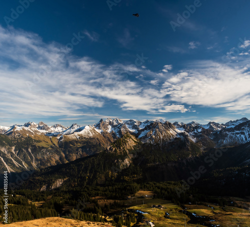 landscape in the evening