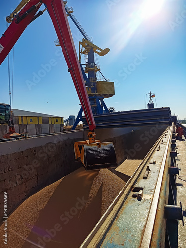 Export deliveries of bulk cargo by sea