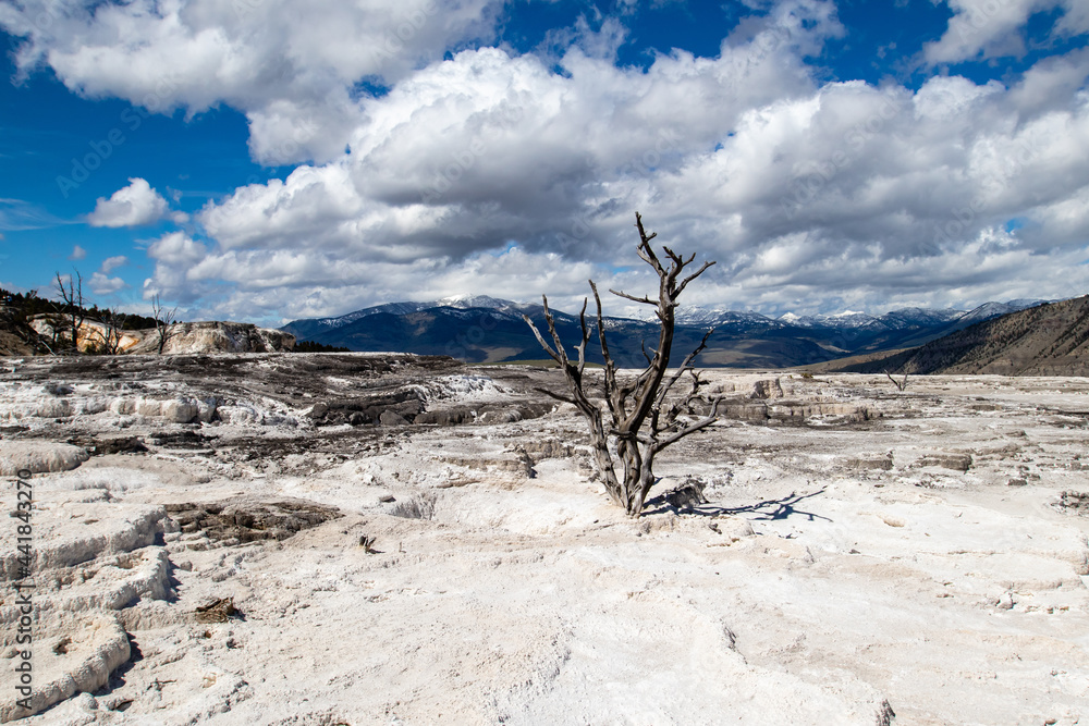 Mammoth Hot Springs Terraces at Yellowstone National Park, Wyoming