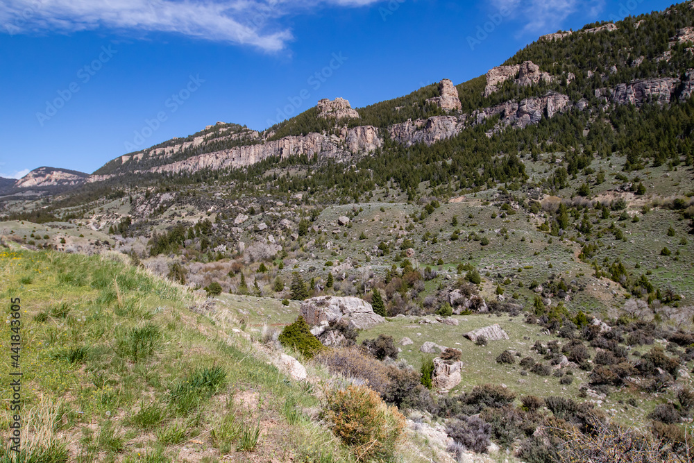Bighorn National Forest, Wyoming in late May