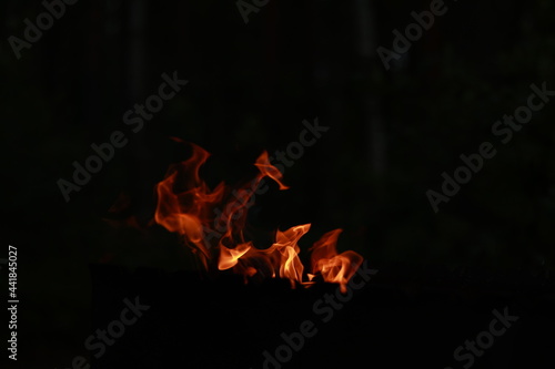 The fire. Tongues of open flame. Fire. Beautiful flames in the fresh air. Fire in the grill.