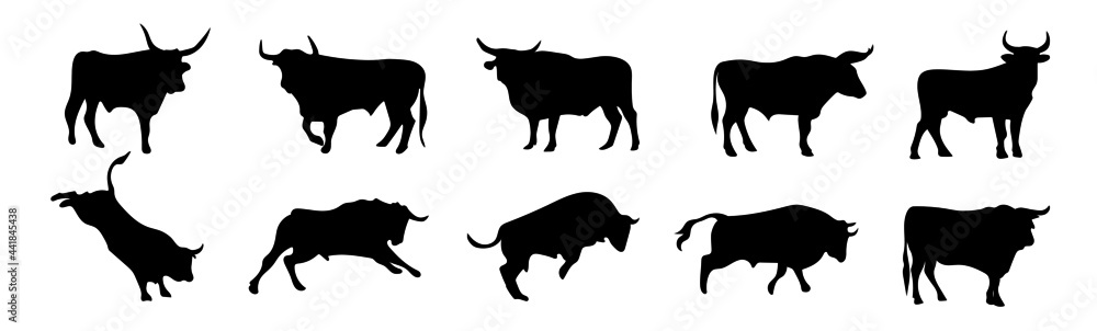 Fototapeta premium Set of silhouettes of different bull poses. Farm animal. Vector illustration. 