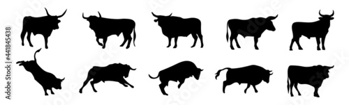 Set of silhouettes of different bull poses. Farm animal. Vector illustration.  photo