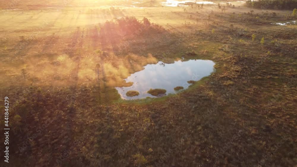 drone flying over bogs in estonia scandinavia lakes early morning sunrise golden colors