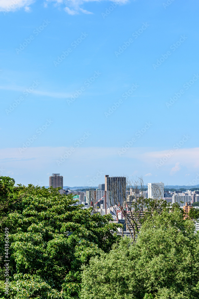 Fototapeta premium 大年寺山より仙台市内を展望する