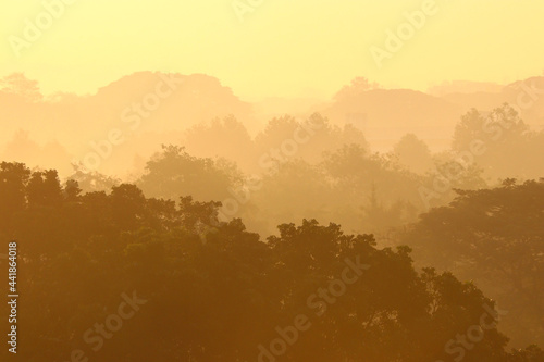 misty morning with layer of trees © leisuretime70