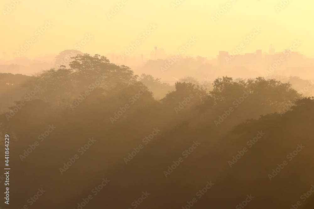 misty morning with layer of trees