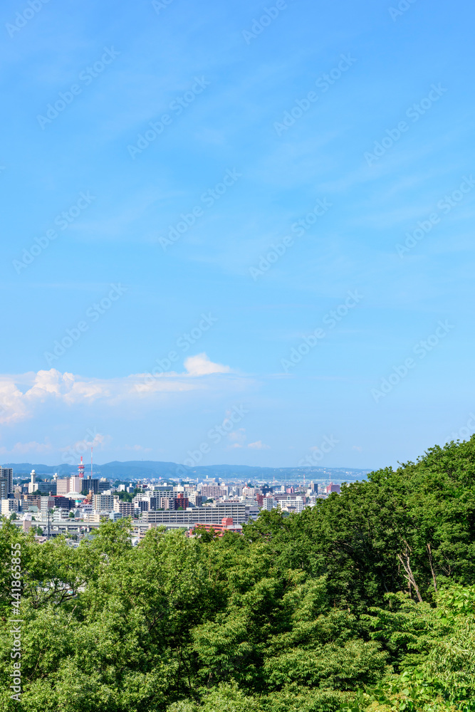 Obraz premium 大年寺山より仙台市内を展望する