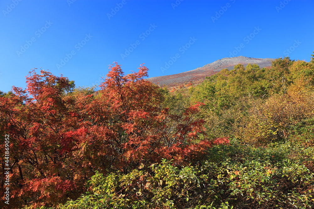 Mt.Iwate, in autumn, fine weather秋晴れの岩手山登山