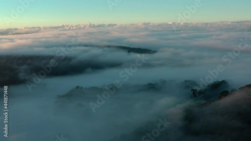 Wallpaper Mural Australian Rainforest Aerial footage 4k Torontodigital.ca