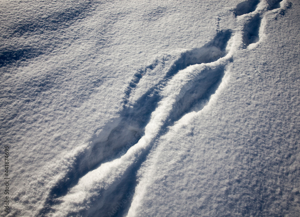 footprints on snowdrifts after walking footprints on snowdrifts after walking