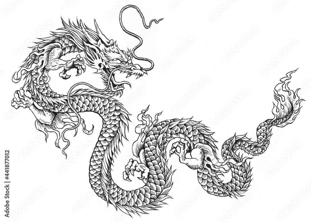 chinese dragon illustration with scales and eagle claws chinese dragon illustration with scales and eagle claws