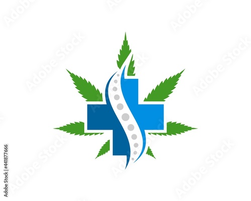 Green cannabis leaf with medical chiropractic inside