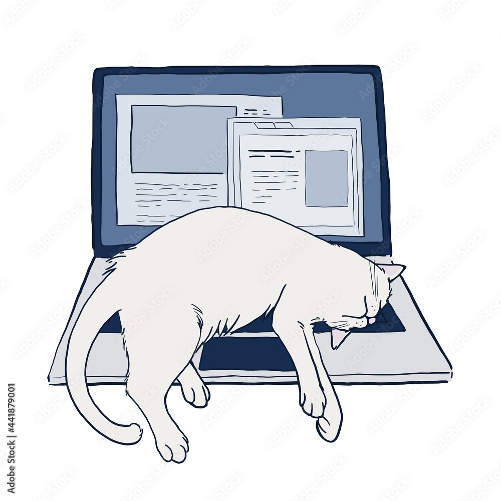 ノートパソコンの上で寝る白猫 Stock Illustration Adobe Stock