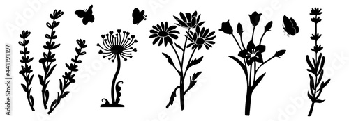 silhouette of lavender, chamomile, bell and dandelion flowers. Butterflies fly. vector. sketch. eps