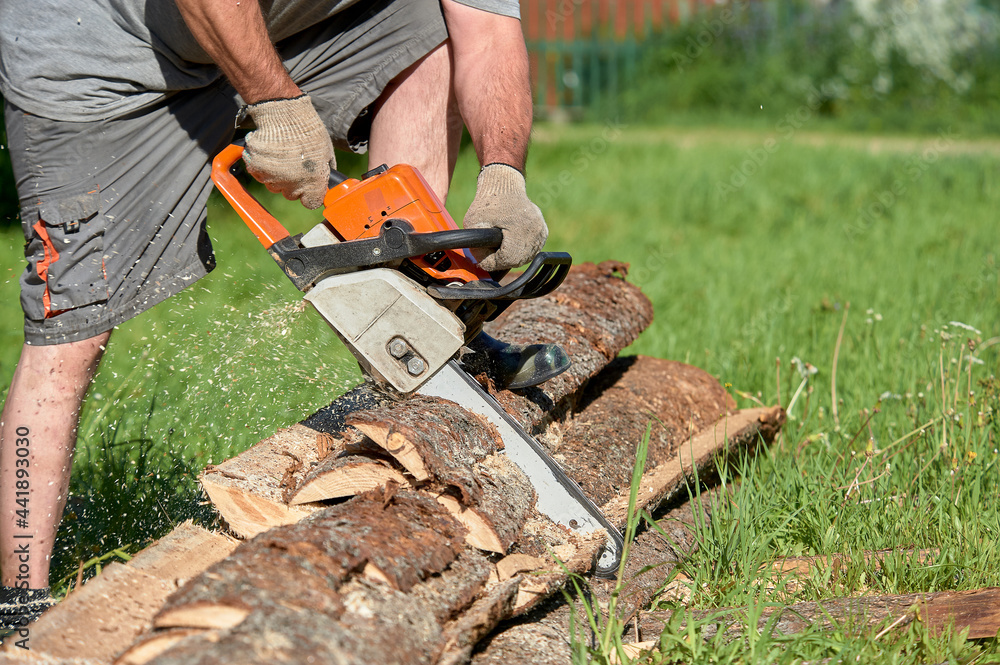sawing timber with a chainsaw on a sunny day in summer sawing timber with a chainsaw on a sunny day in summer