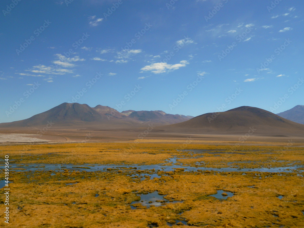 Altiplano San Pedro de Atacama, yellow desert and lagoons Altiplano San Pedro de Atacama, yellow desert and lagoons