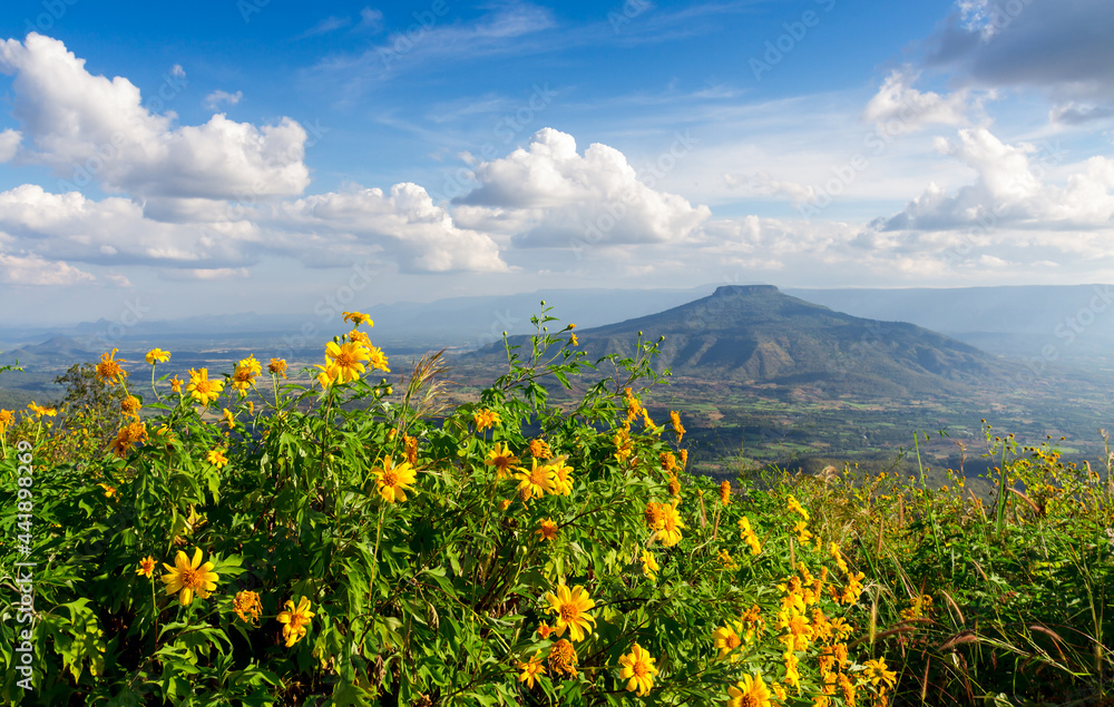 Mount Fuji at Loei Province, Thailand. This's Mountain looks like Mount Fuji in Japan