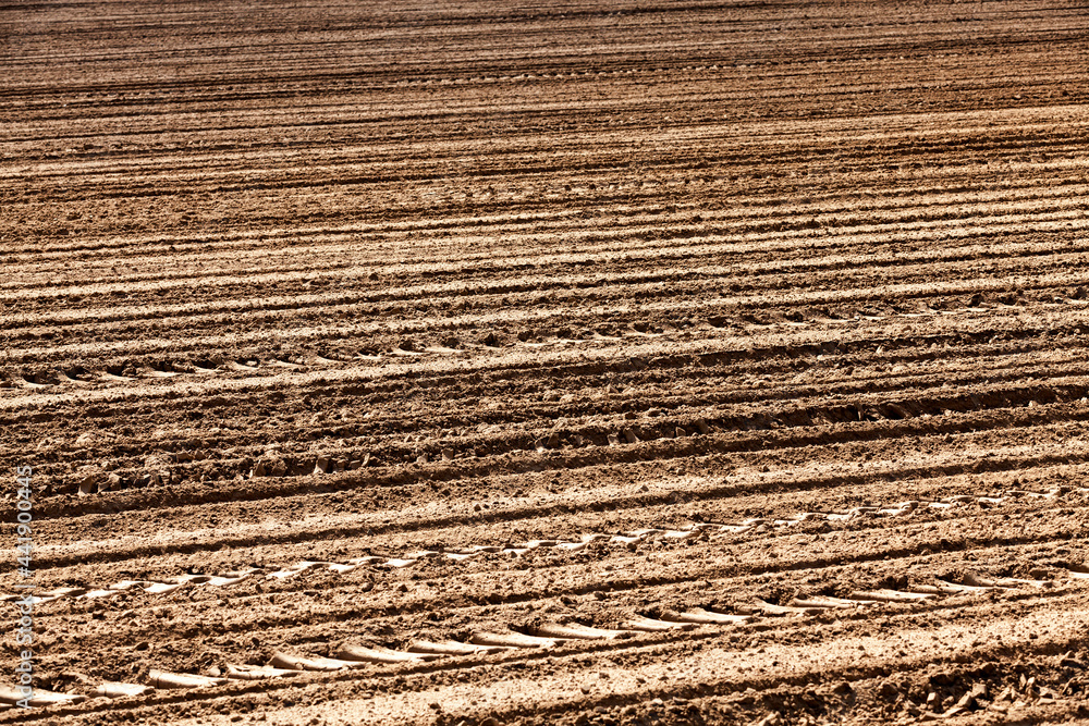 Fototapeta premium the plowed soil on which to grow cereal crops