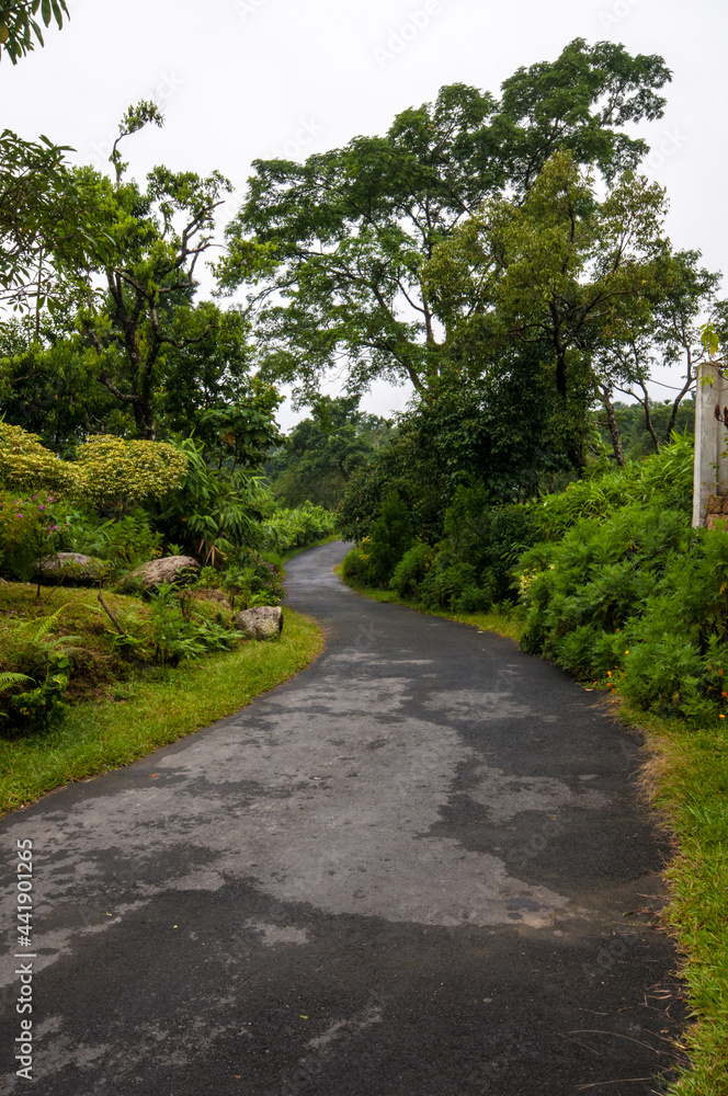 A village homestay at Mawlynoong, the Asia's cleanest village near Cherrapunji, Meghalaya of India and tranquil nature with natural root bridge. A great tourist spot.