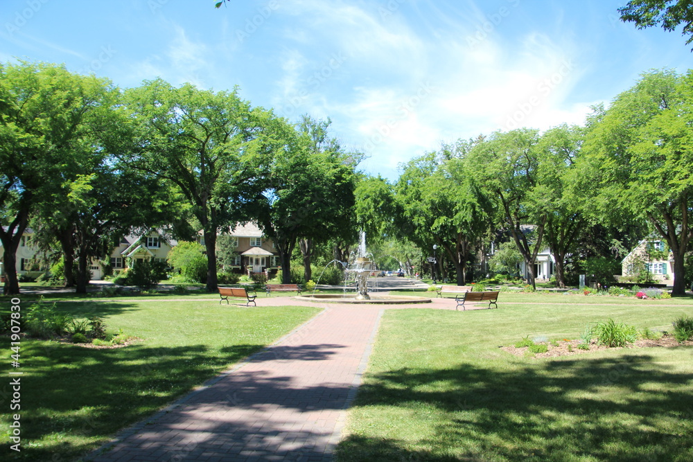 Fototapeta premium Old Elms Around Alexander Circle, Edmonton, Alberta