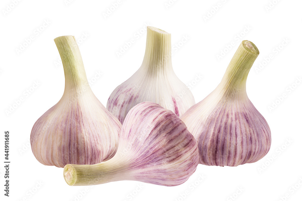 Fototapeta premium Garlics isolated on white background