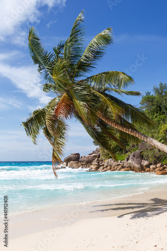 Fototapeta Naklejka Na Ścianę i Meble -  Seychelles Anse Georgette beach on Praslin island palm portrait format vacation sea