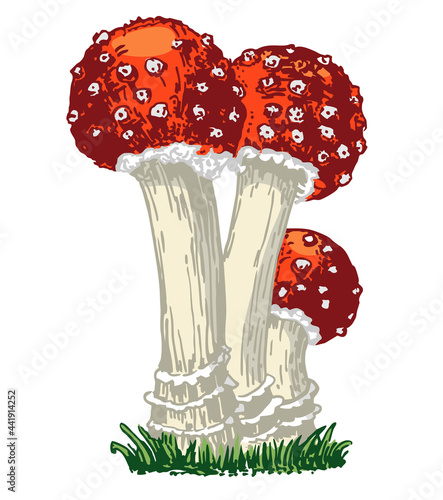 Fly agaric, non-edible poisonous forest mushrooms sketch. Card, banner, poster, sticker with fly agaric. Amanita mushroom. Poisonous forest mushroom. Vector illustration.