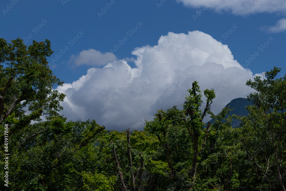 Obraz premium 緑と青空に雲