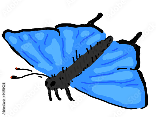 野生のジョウザンミドリシジミ