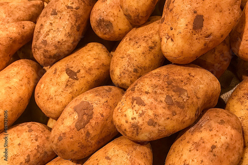 Fresh brushed potato piled on the market. Food backgroumd. Harvest photo