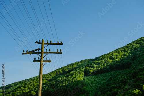 a wooden, electric pole by the railroad tracks photo
