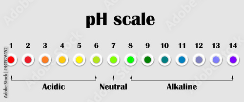 The pH value scale chart for acid and alkaline solutions. Ph Color Chart diagram. Horizontal banner. Stock vector illustration on gray isolated background.