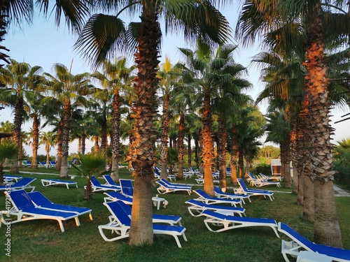 lounge chairs in a resort