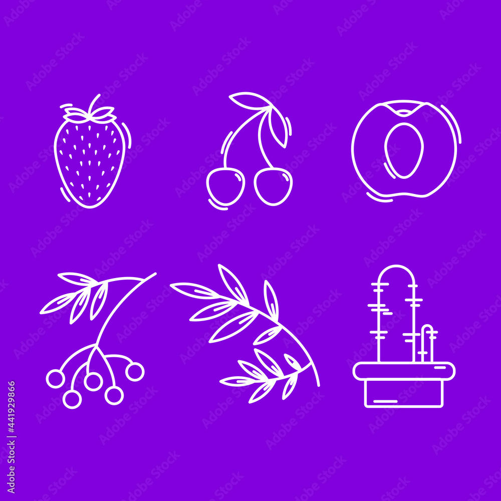 icons, fruits, plants and berries. Outline icons. One drawing style