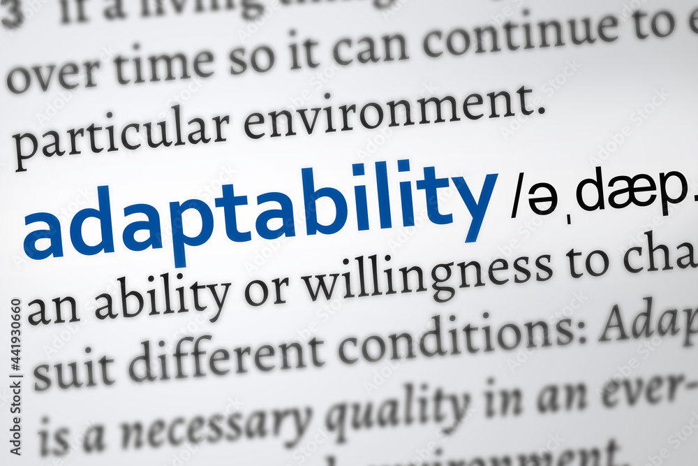 adaptability definition word. Zoom on the meaning adaptability definition word. Zoom on the meaning