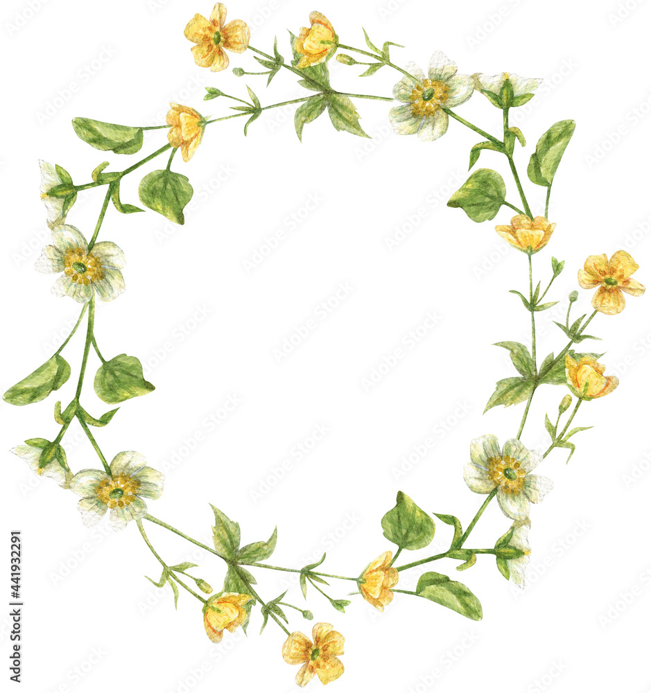 Floral wreath with yellow and white buttercups and green leaves and herbs. .Wildflowers hand-painted.