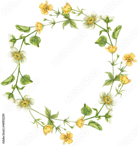 Floral wreath with yellow and white buttercups and green leaves and herbs. .Wildflowers hand-painted.