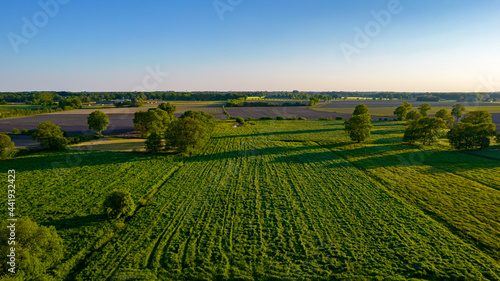 Aerial view with a drone of a spring wavy agricultural countryside landscape with plowed and unplowed fields and trees in the blue evening sky. High quality photo © Bjorn B