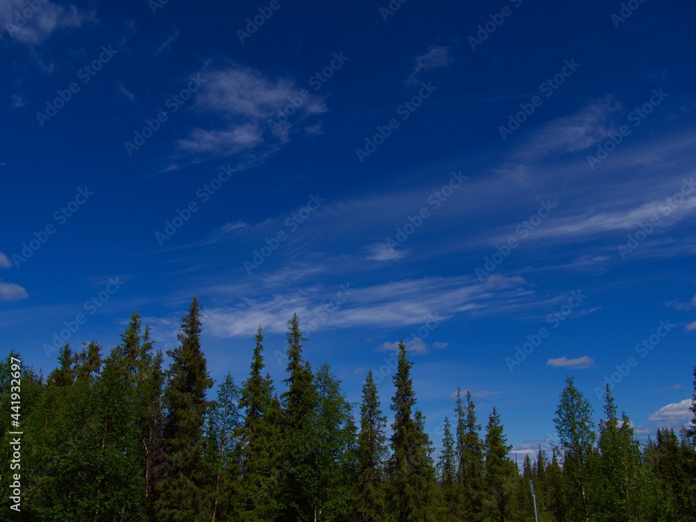 Lakeshore with trees and blue sky. Beautiful nature in the North of Sweden.