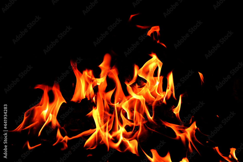flames on a black background. flames on a black background.
