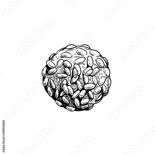 Traditional Italian cookie Pignoli. Italian chips (biscuits). Hand drawn sketch style drawings. Top view. Vector illustration isolated on white background.