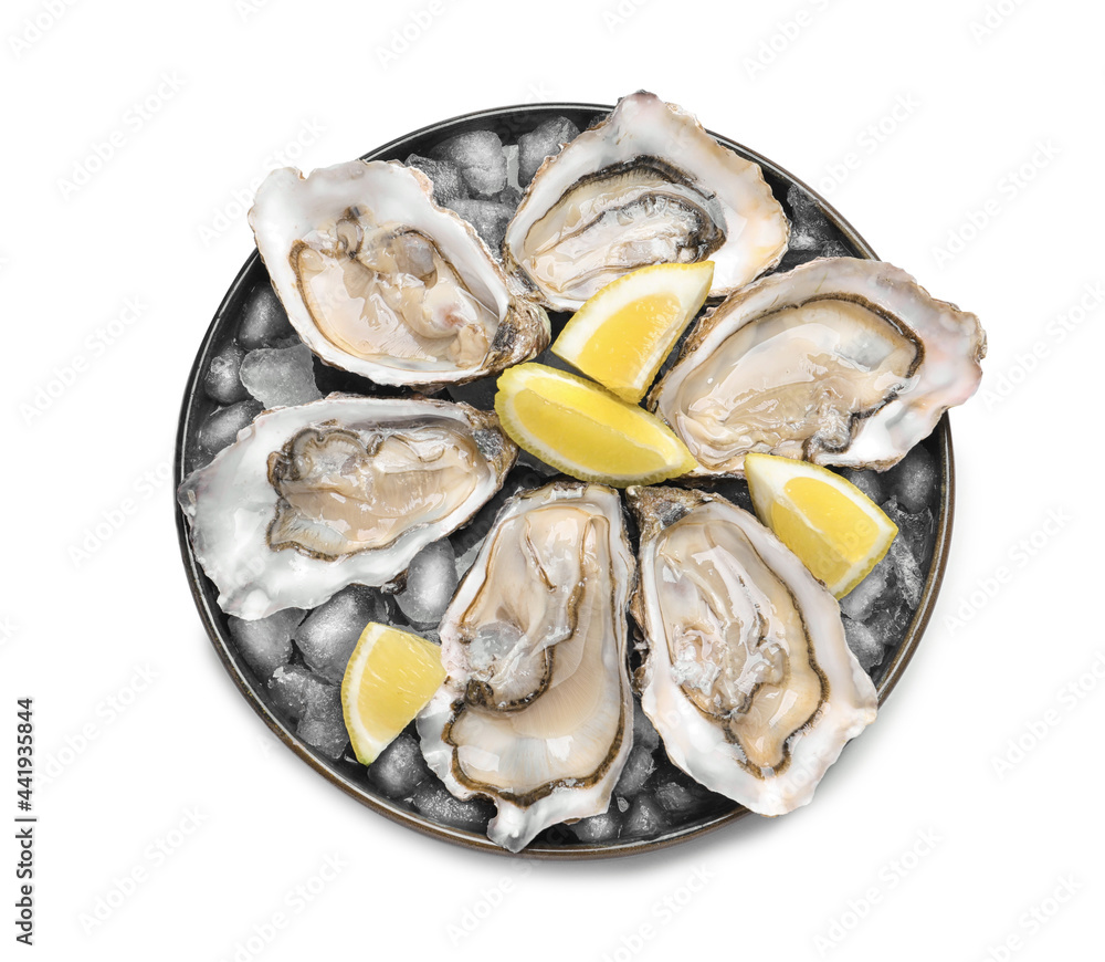Fresh raw oysters served on white background, top view Fresh raw oysters served on white background, top view