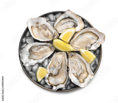 Fresh raw oysters served on white background, top view